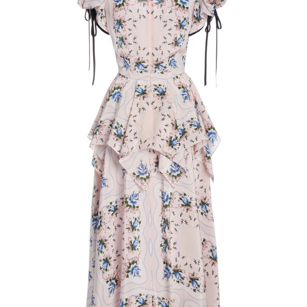 Rodarte Ruffled Floral-Print Silk Maxi Dress - Picture 8 of 11